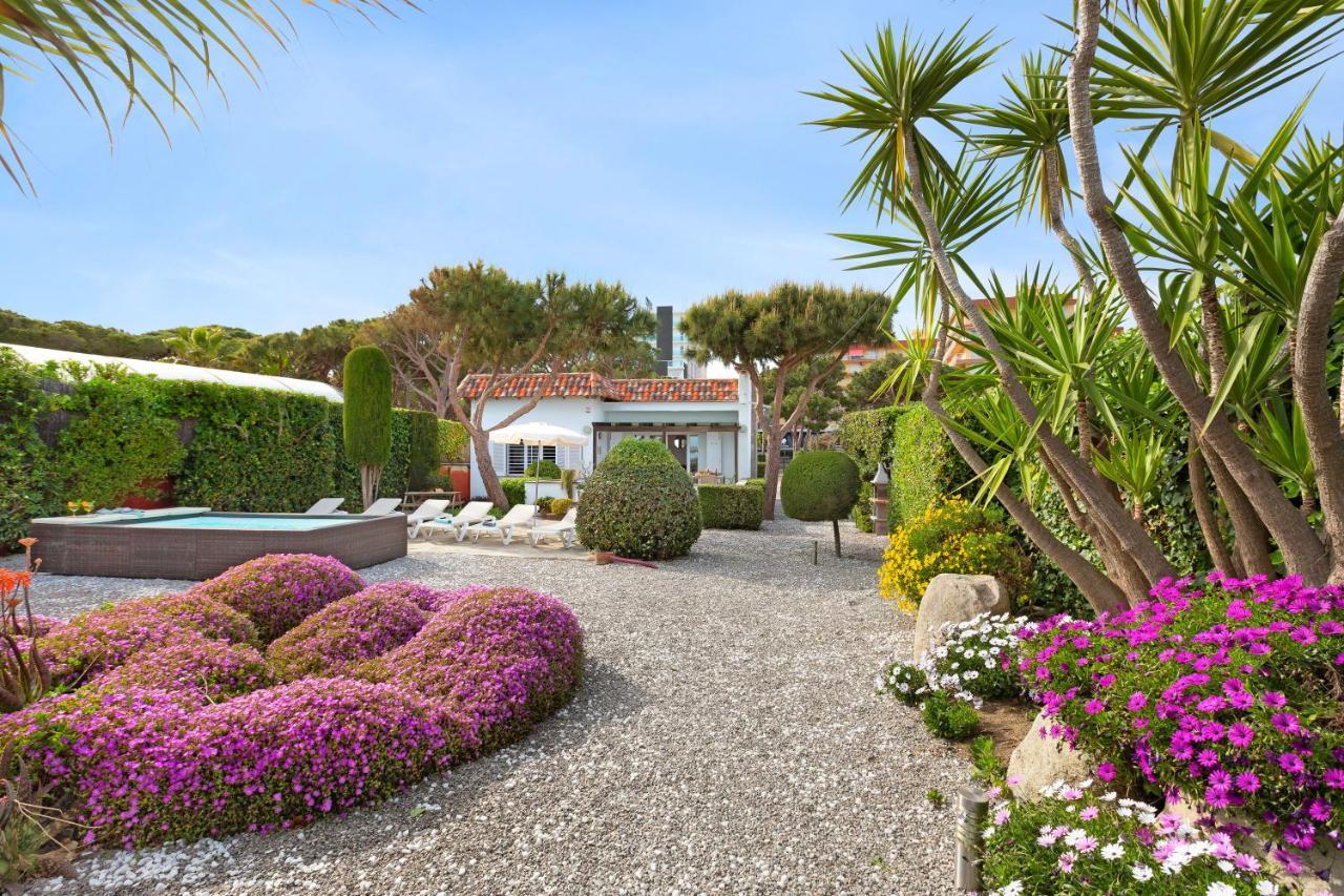 Villa Erika Beach House 马尔格莱特德玛 外观 照片